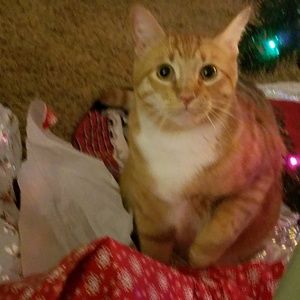 Meet your Posher, Jim